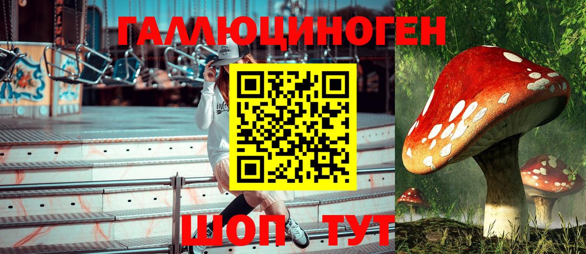Армавир  хочу   Вход с VPN  Псилоцибиновые грибы мухоморы 
