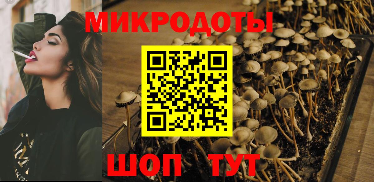 Псилоцибиновые грибы прущие грибы Армавир